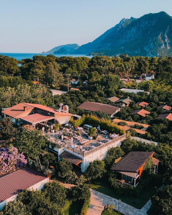 Kimera Lounge Boutique Hotel & Spa Cirali Exterior foto
