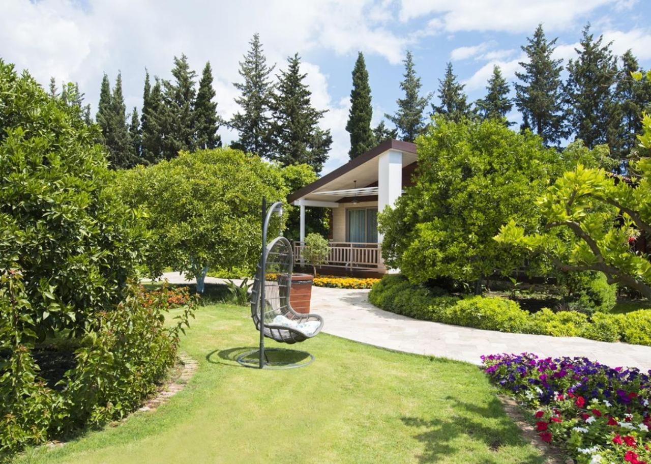 Kimera Lounge Boutique Hotel & Spa Cirali Exterior foto