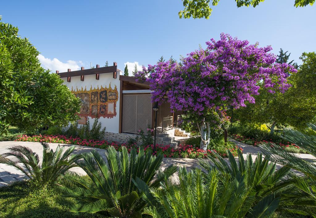 Kimera Lounge Boutique Hotel & Spa Cirali Exterior foto